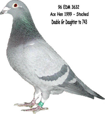 1st Ace Hen 1999